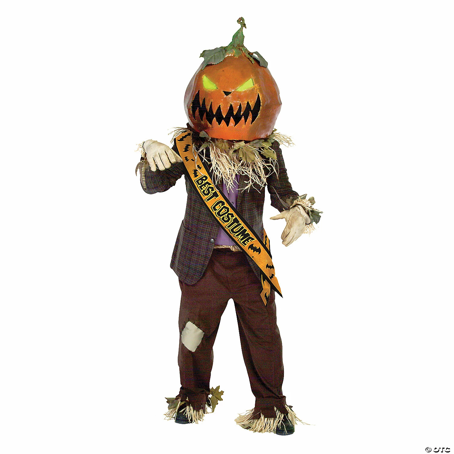 Best Costume Satin Sash 1 Best Costume Satin Sash