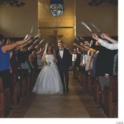 Lighted Fiber Optic Wands - 12 Pc. -Halloween Costumes Trunk or Treat Shop lighted fiber optic wands 12 pc 13725834 a02